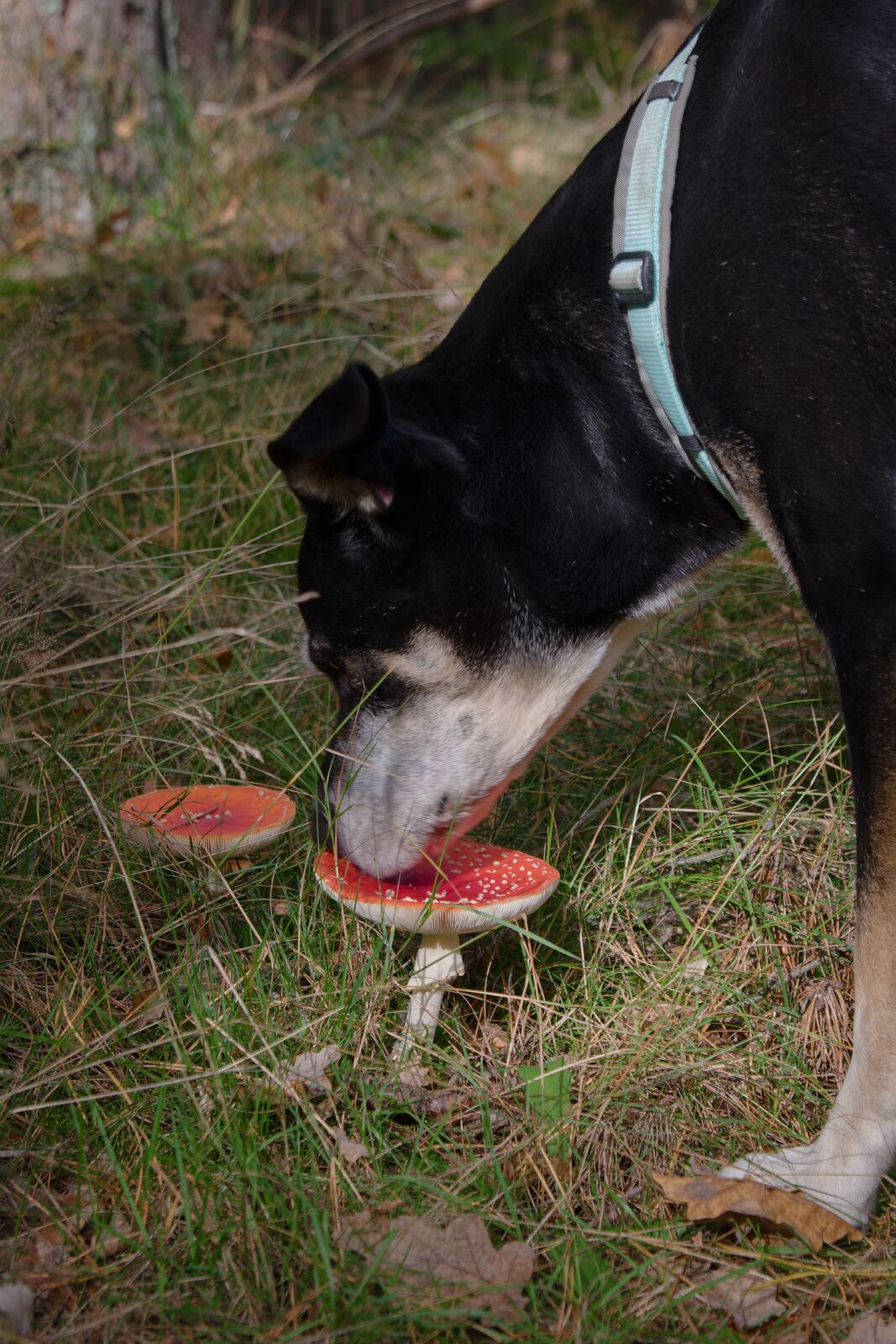 DSCF9689.jpg