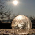 DSCF0106