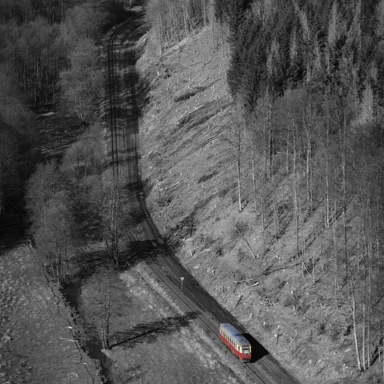 T30Z0366