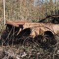 T30Z0455.jpg