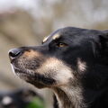 DSCF0440