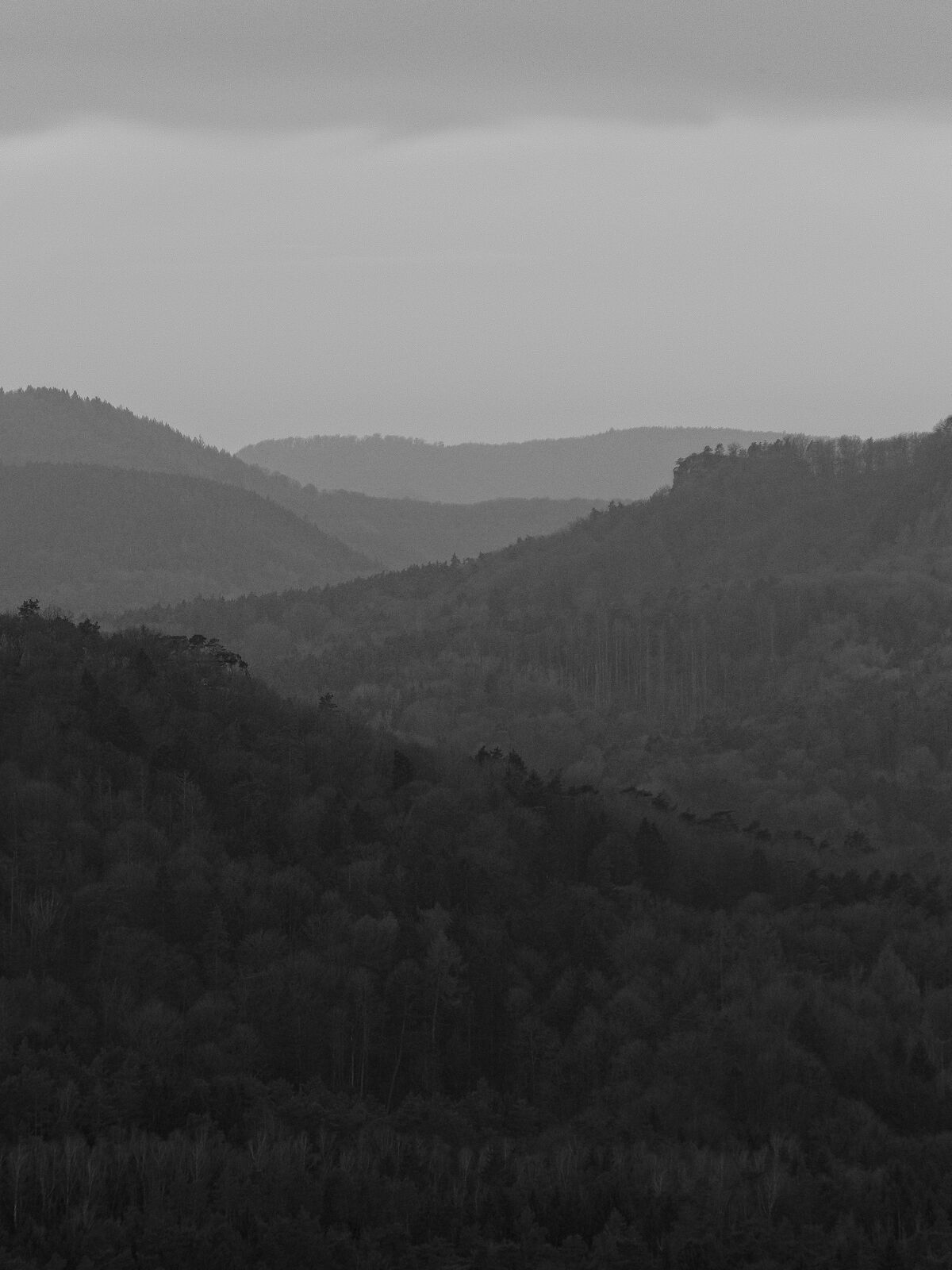 DSCF1402.jpg