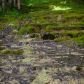 DSCF1566