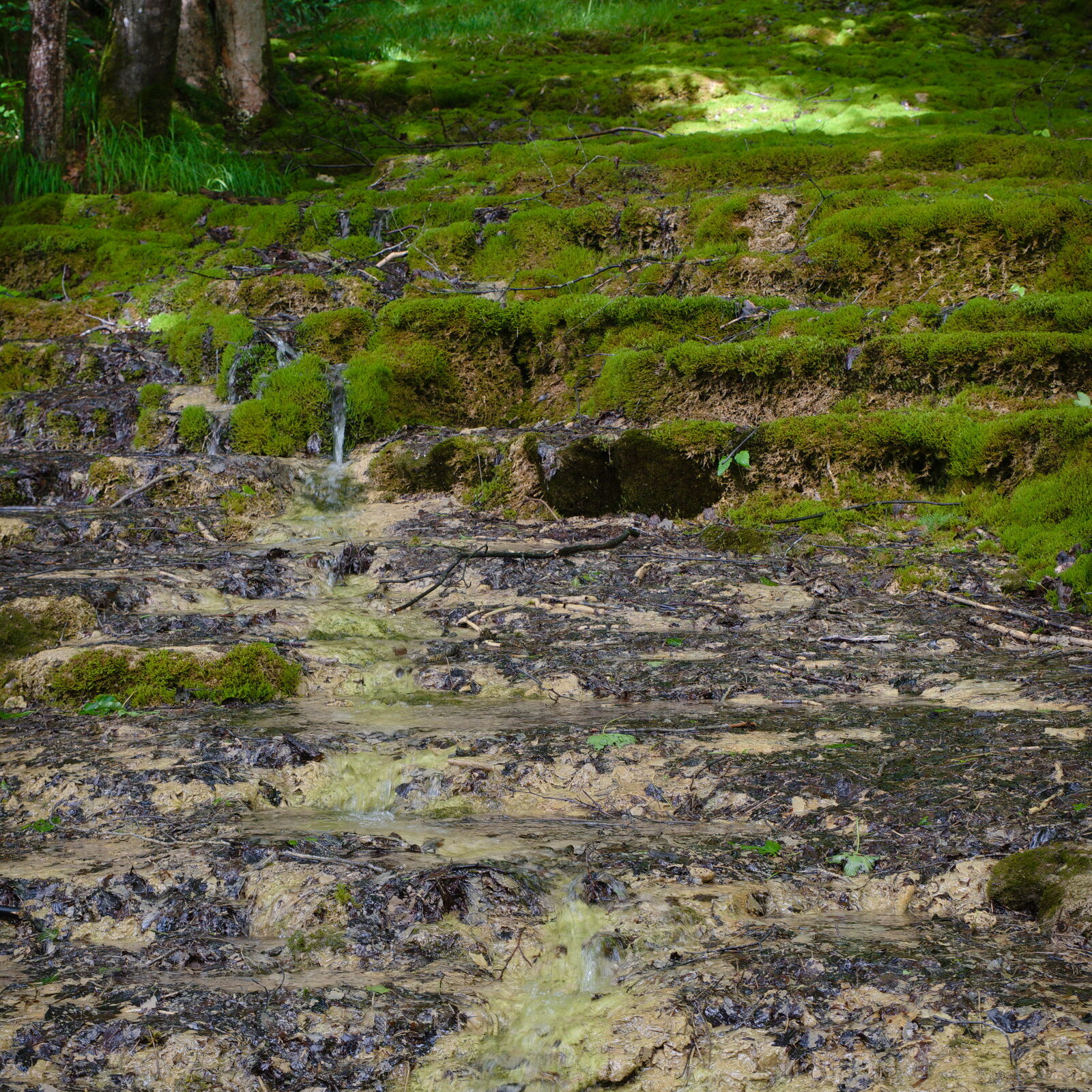 DSCF1566