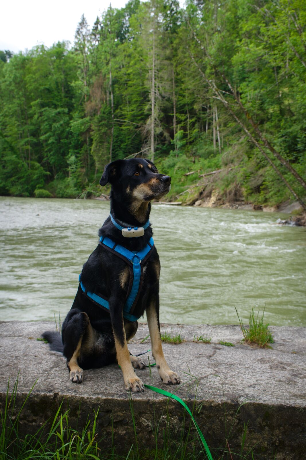 DSCF1582.jpg