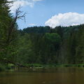 DSCF1604