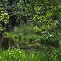 DSCF1606