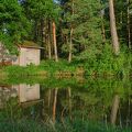 DSCF1716.jpg