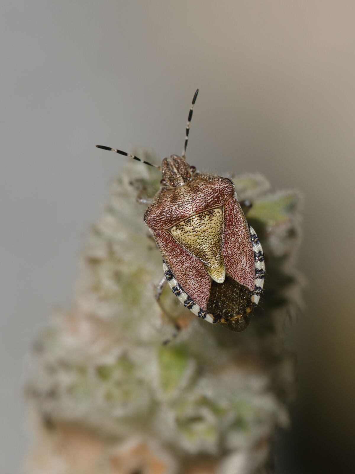 DSCF2311.jpg