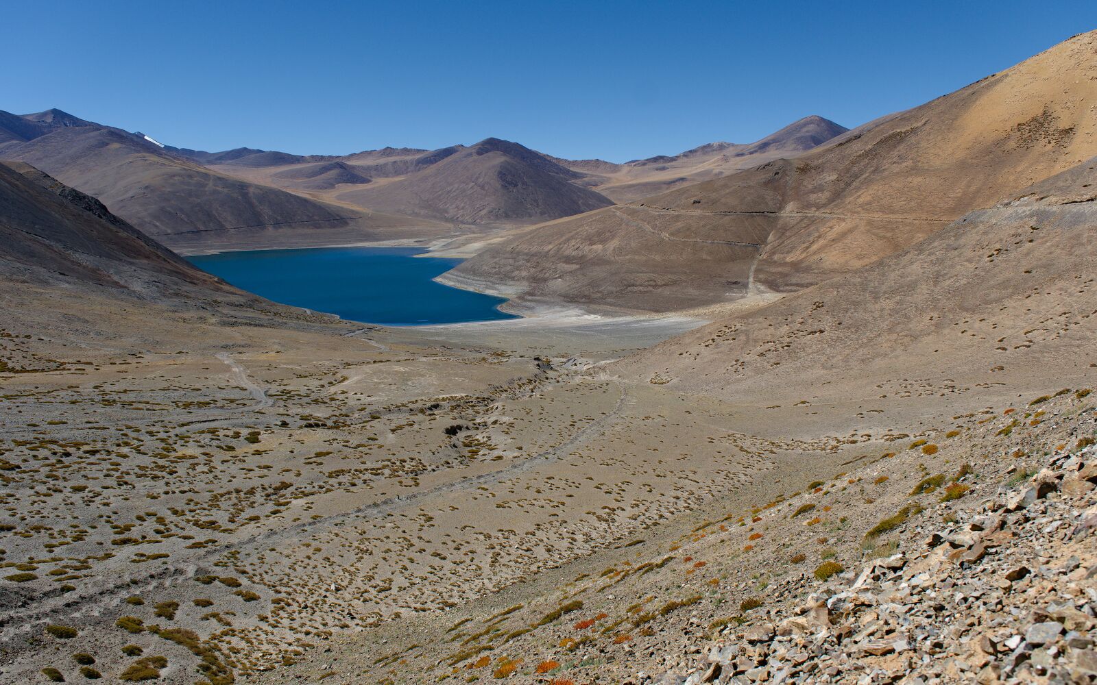 DSCF2127.jpg