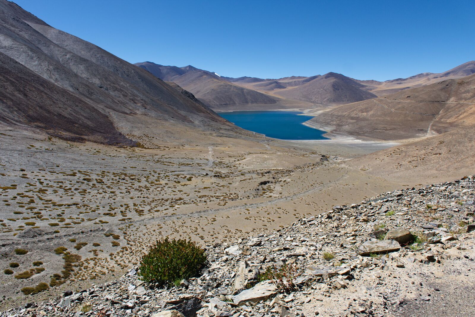 DSCF2129.jpg