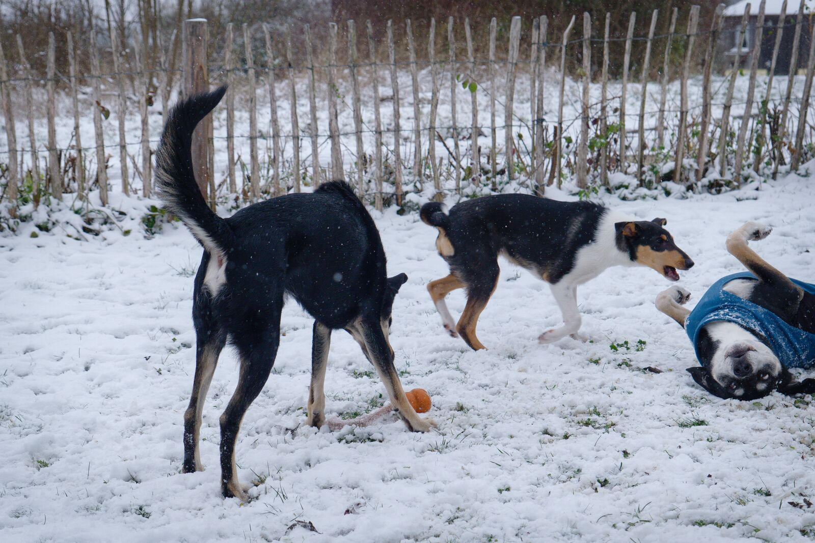 DSCF3280.jpg