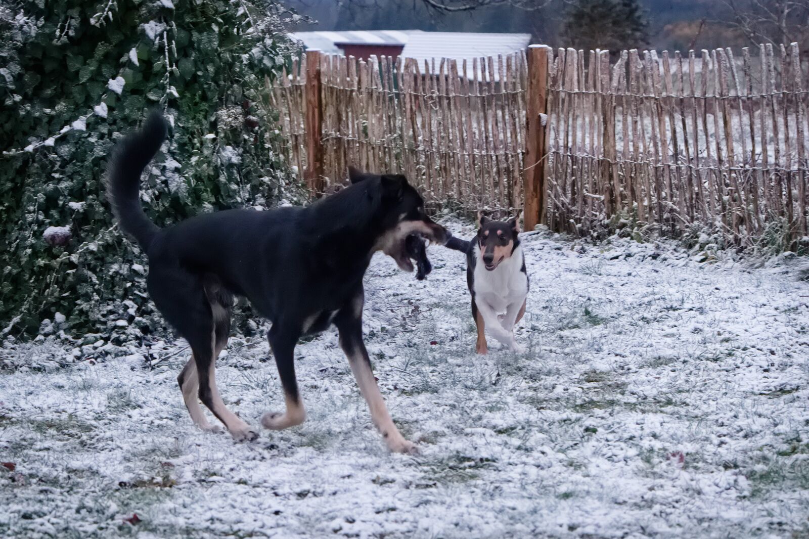 DSCF3174.jpg