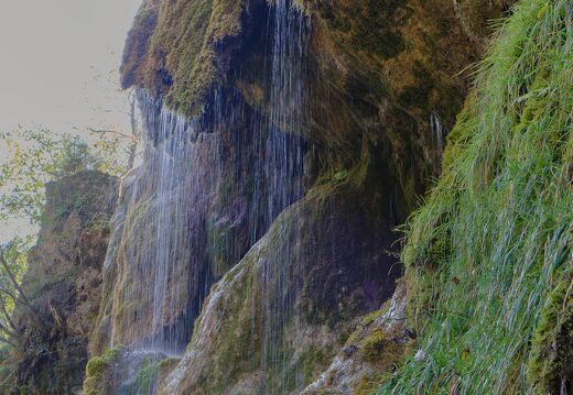 DSCF1046