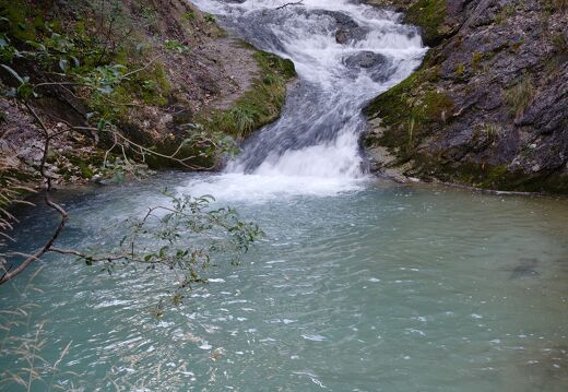 DSCF1039