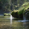 DSCF1042
