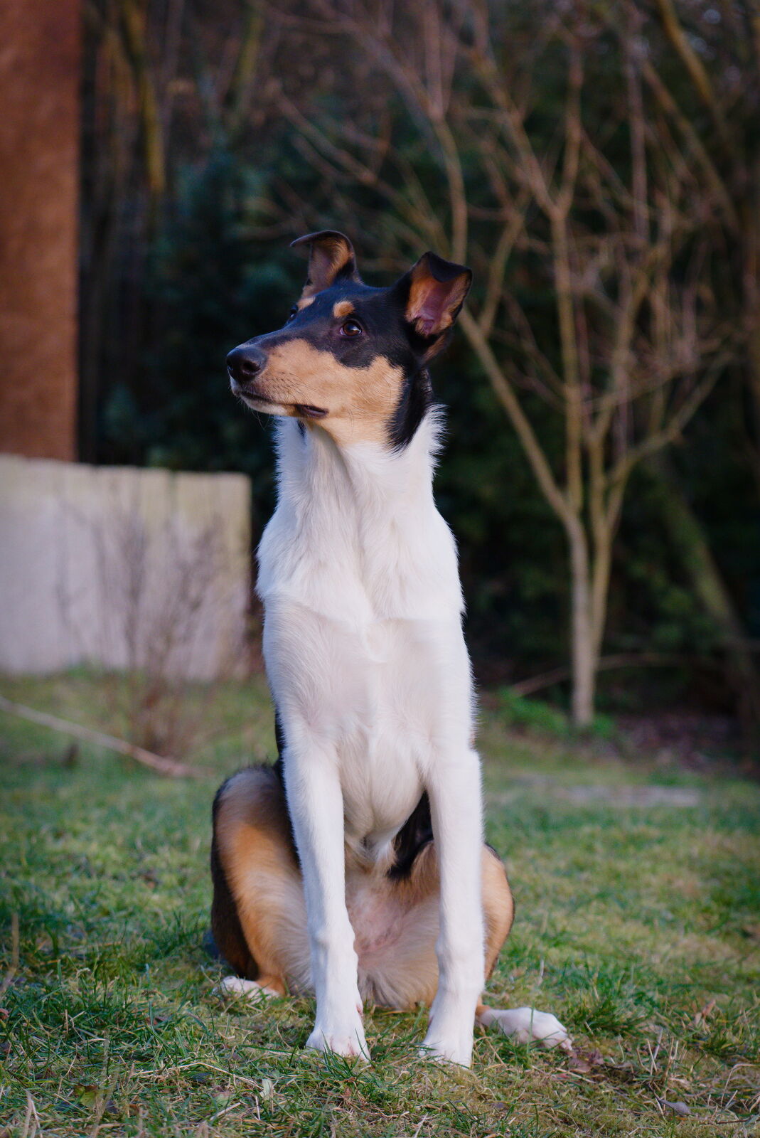 DSCF3528.jpg