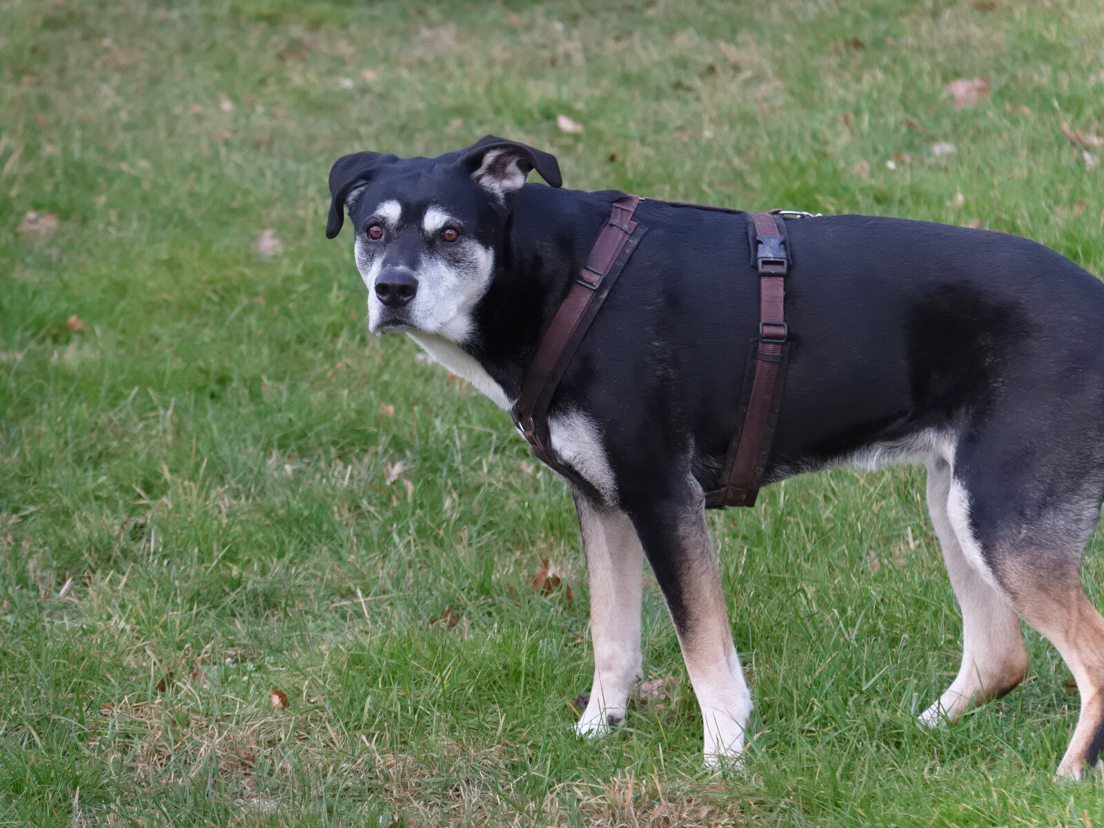 DSCF3656.jpg