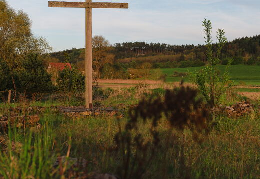DSCF4377