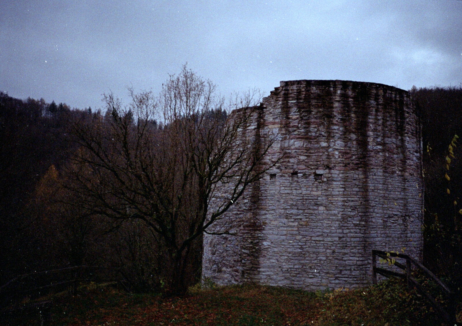 2025-04-27-0016.jpg