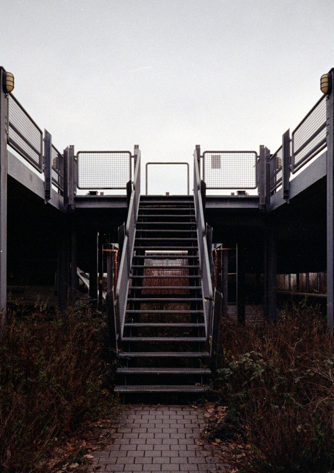 2025-04-27-0024.jpg