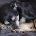 DSCF4620.jpg