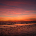 DSCF8367.jpg
