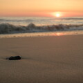 DSCF9362.jpg