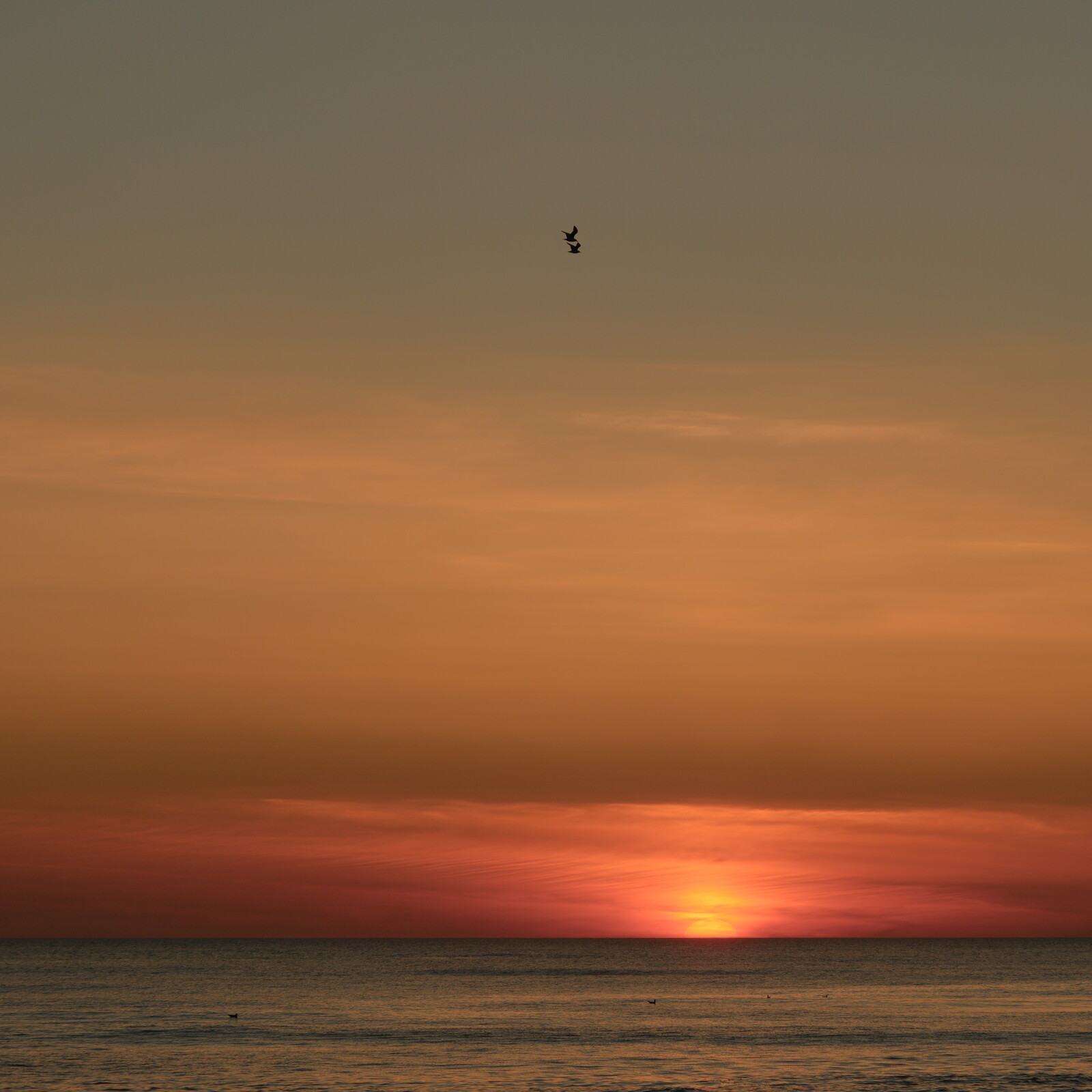 DSCF9366.jpg