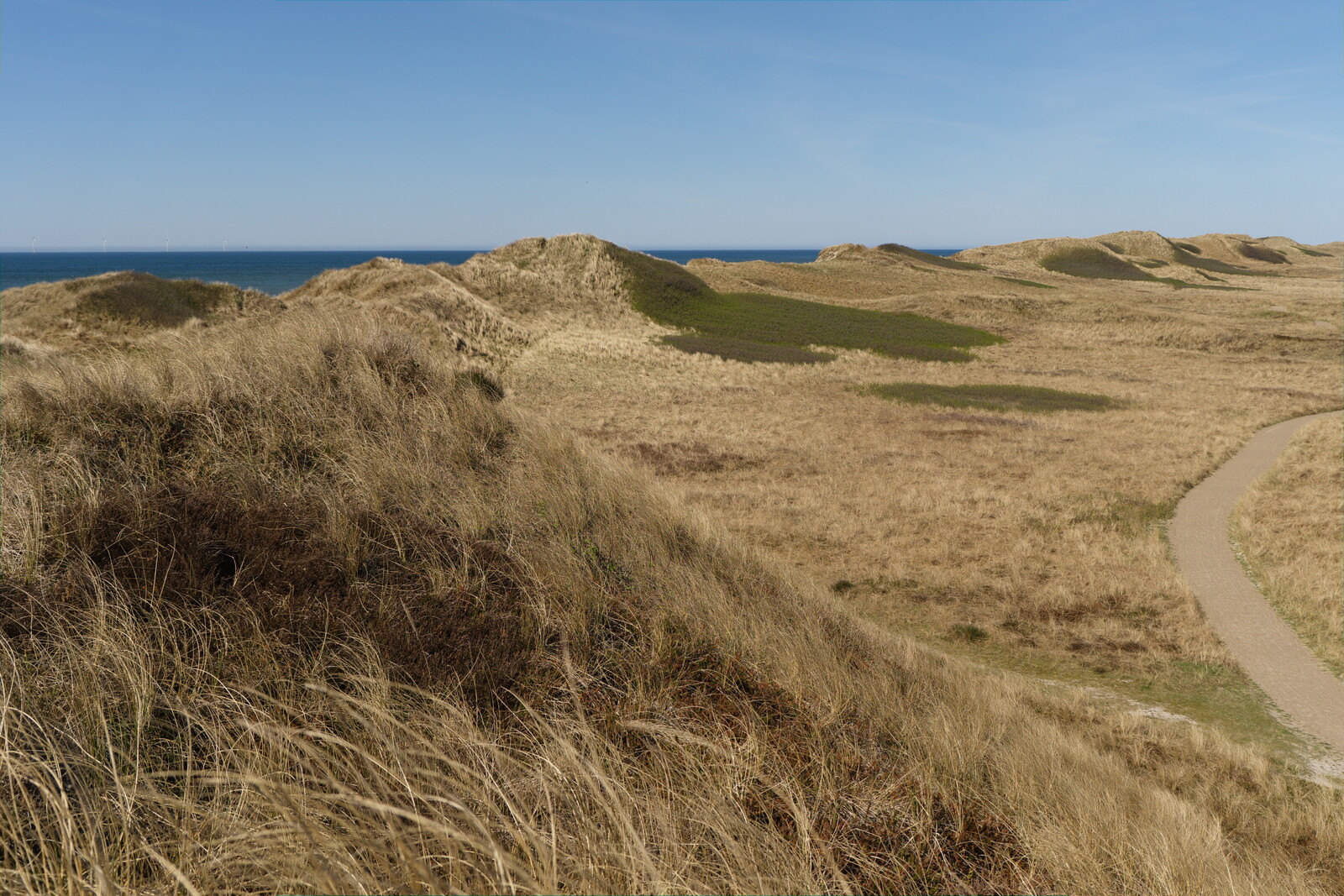 DSCF9377.jpg