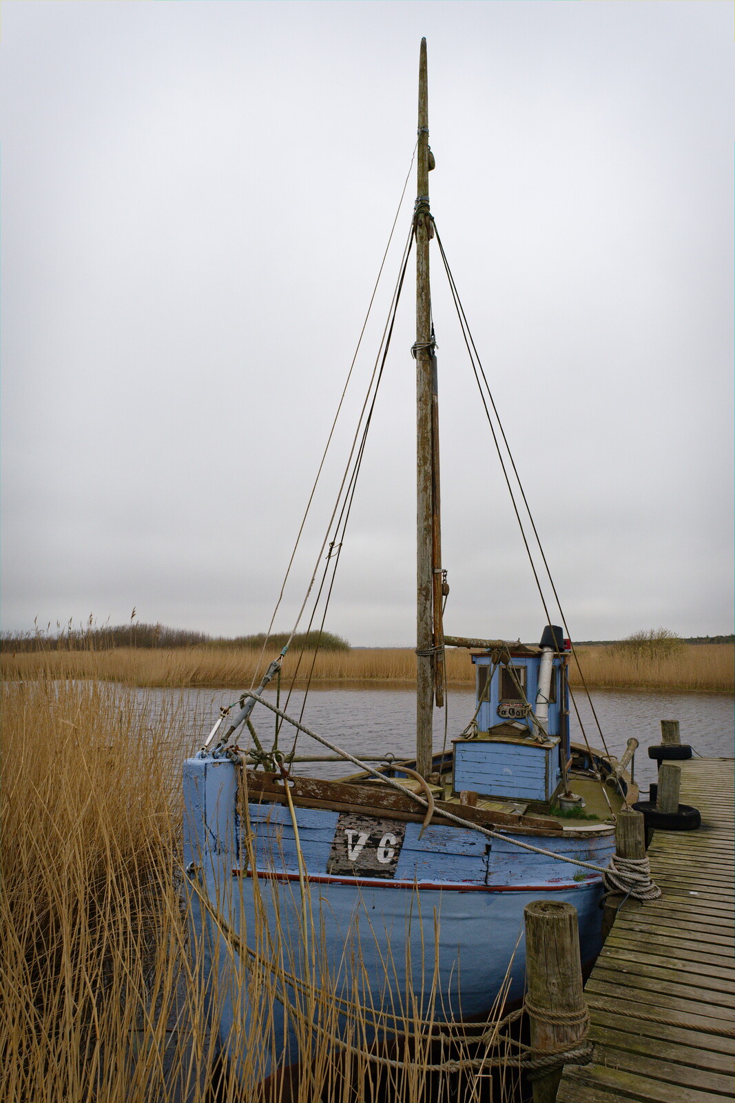 DSCF9708.jpg