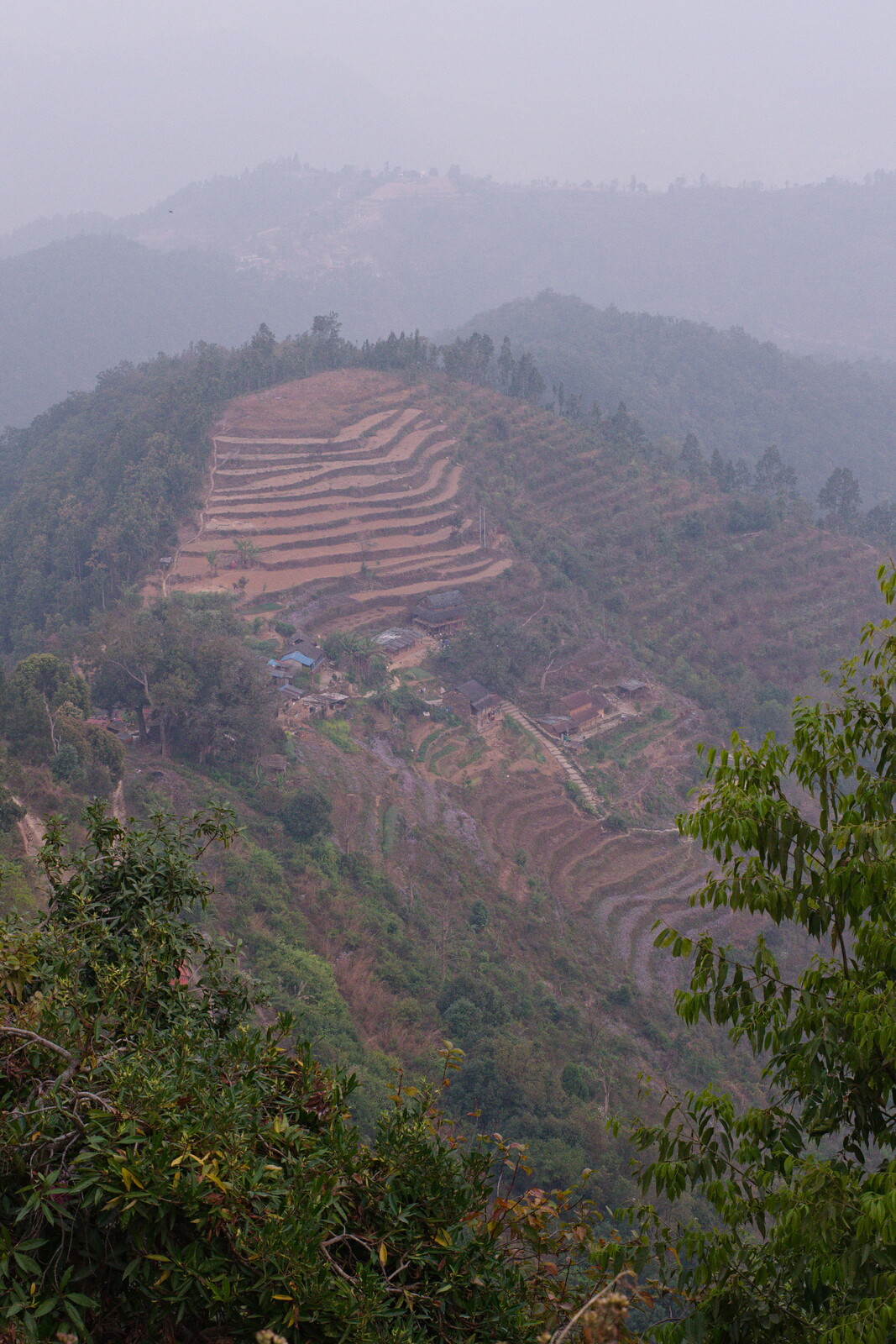 DSCF8803.jpg