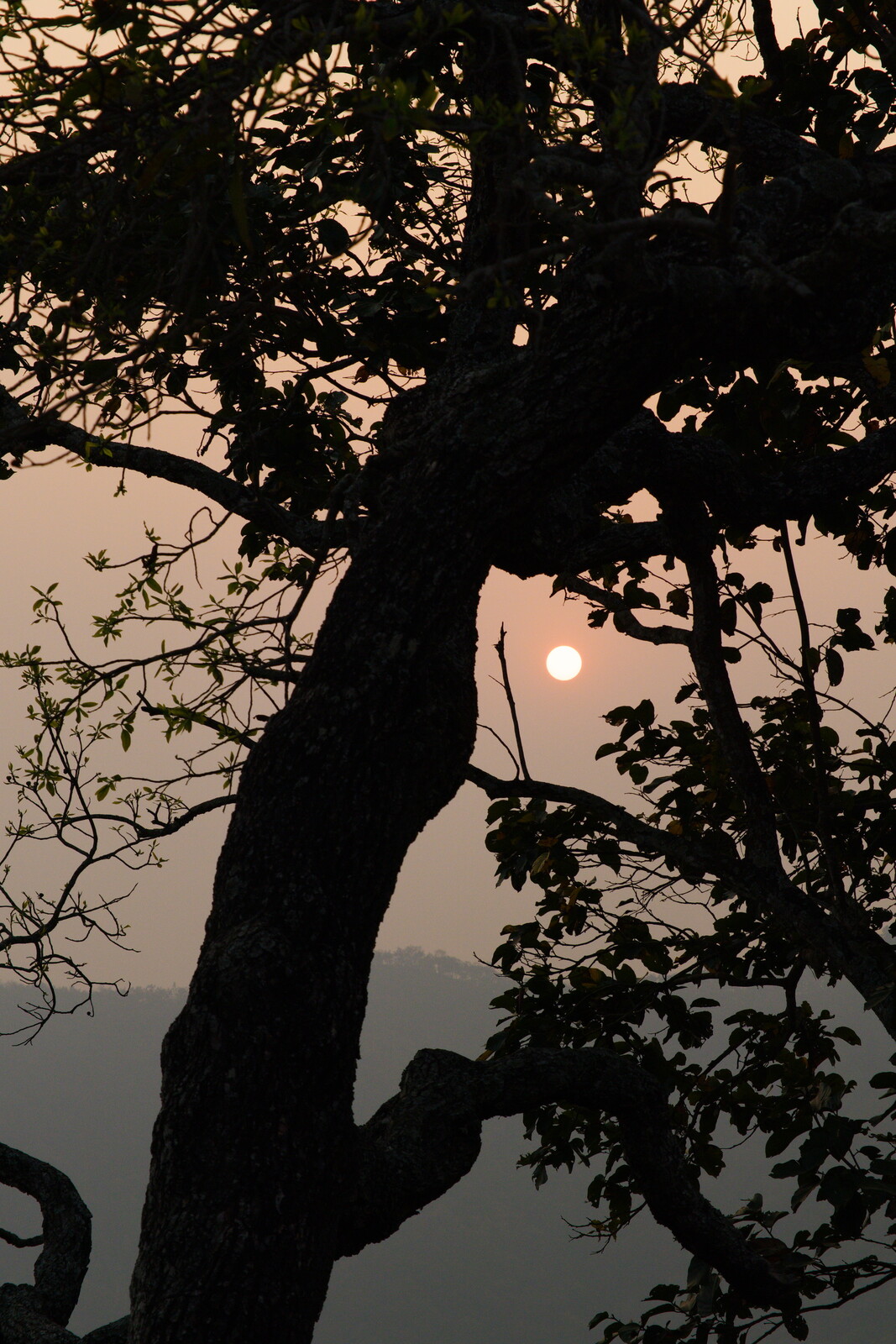 DSCF8823.jpg