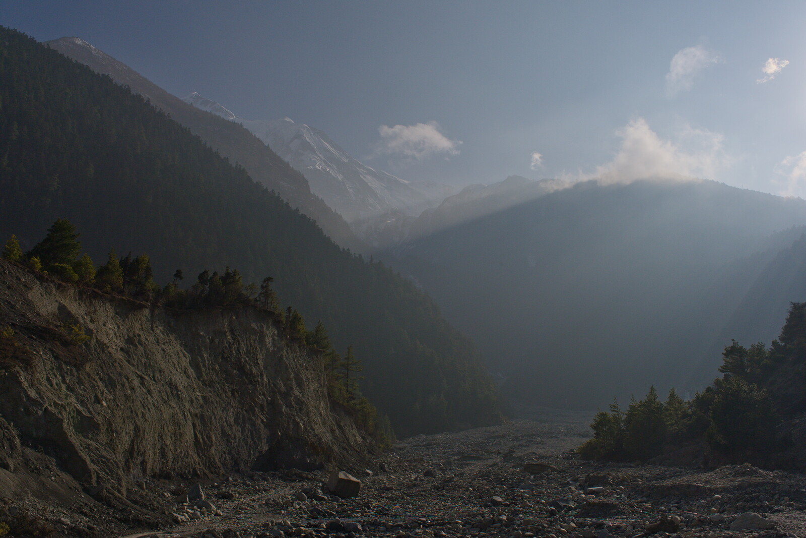 DSCF8834.jpg