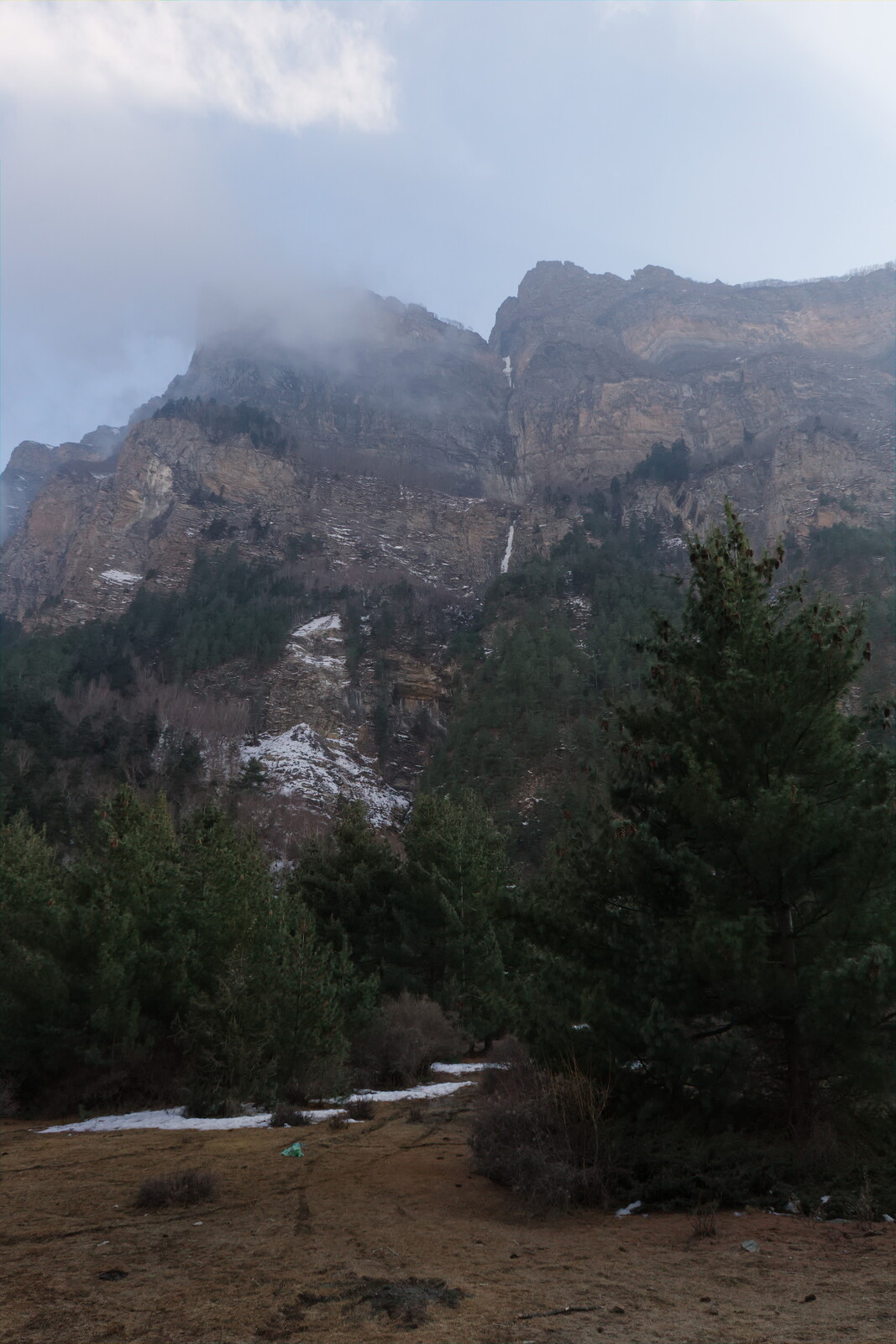 DSCF8839.jpg