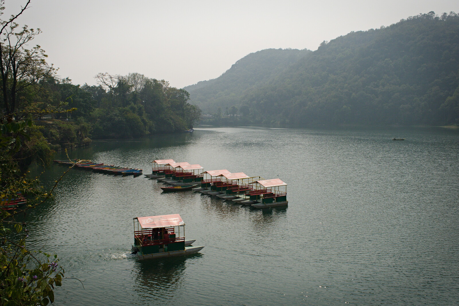 DSCF8851.jpg