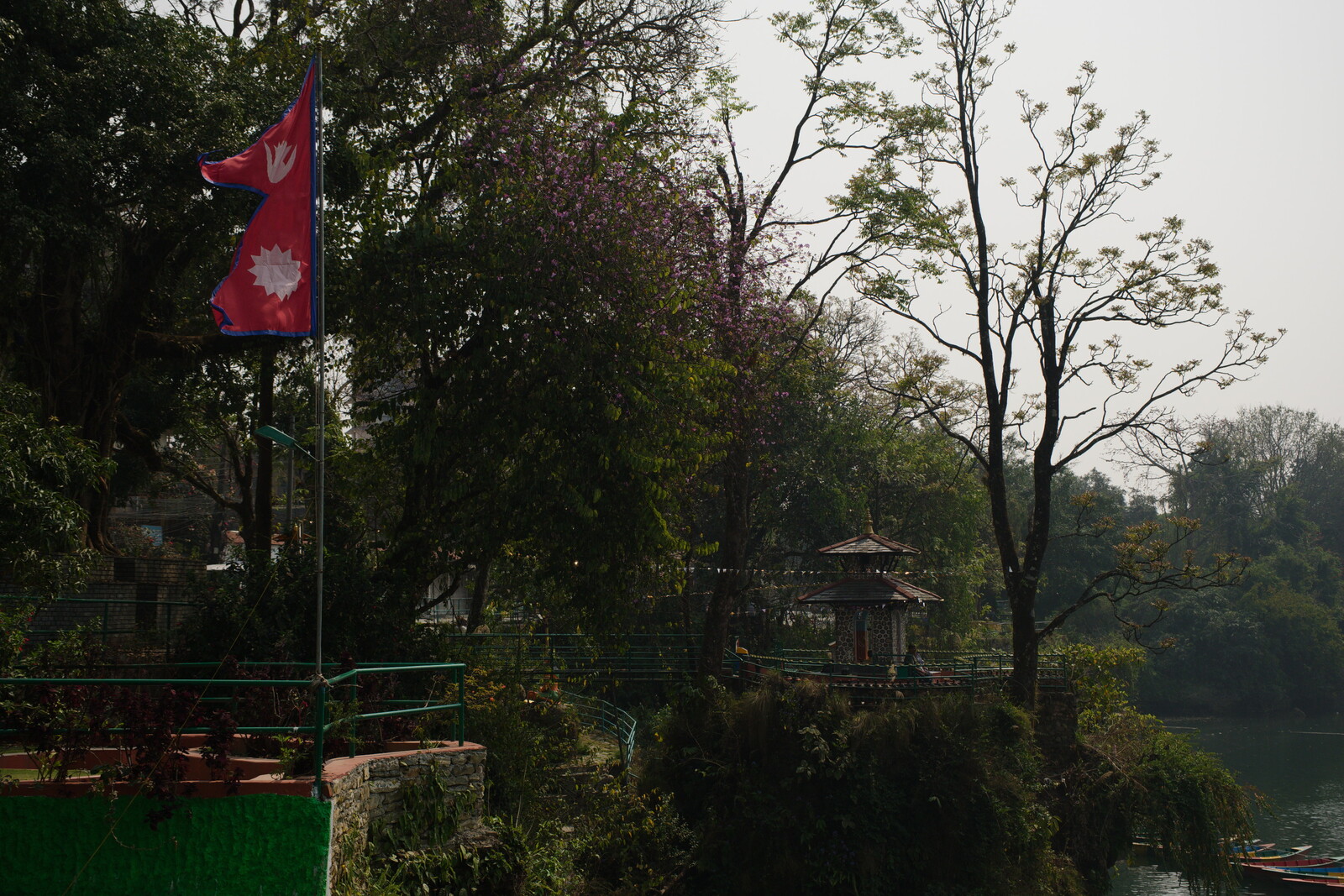 DSCF8852.jpg