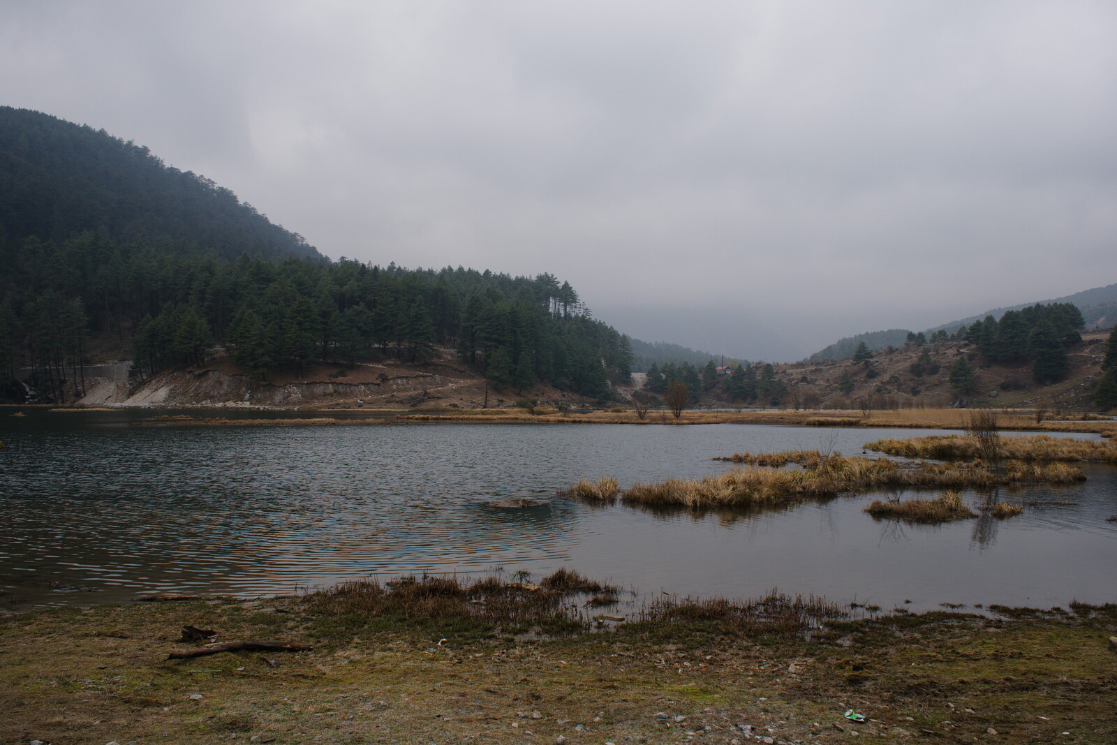 DSCF8901.jpg