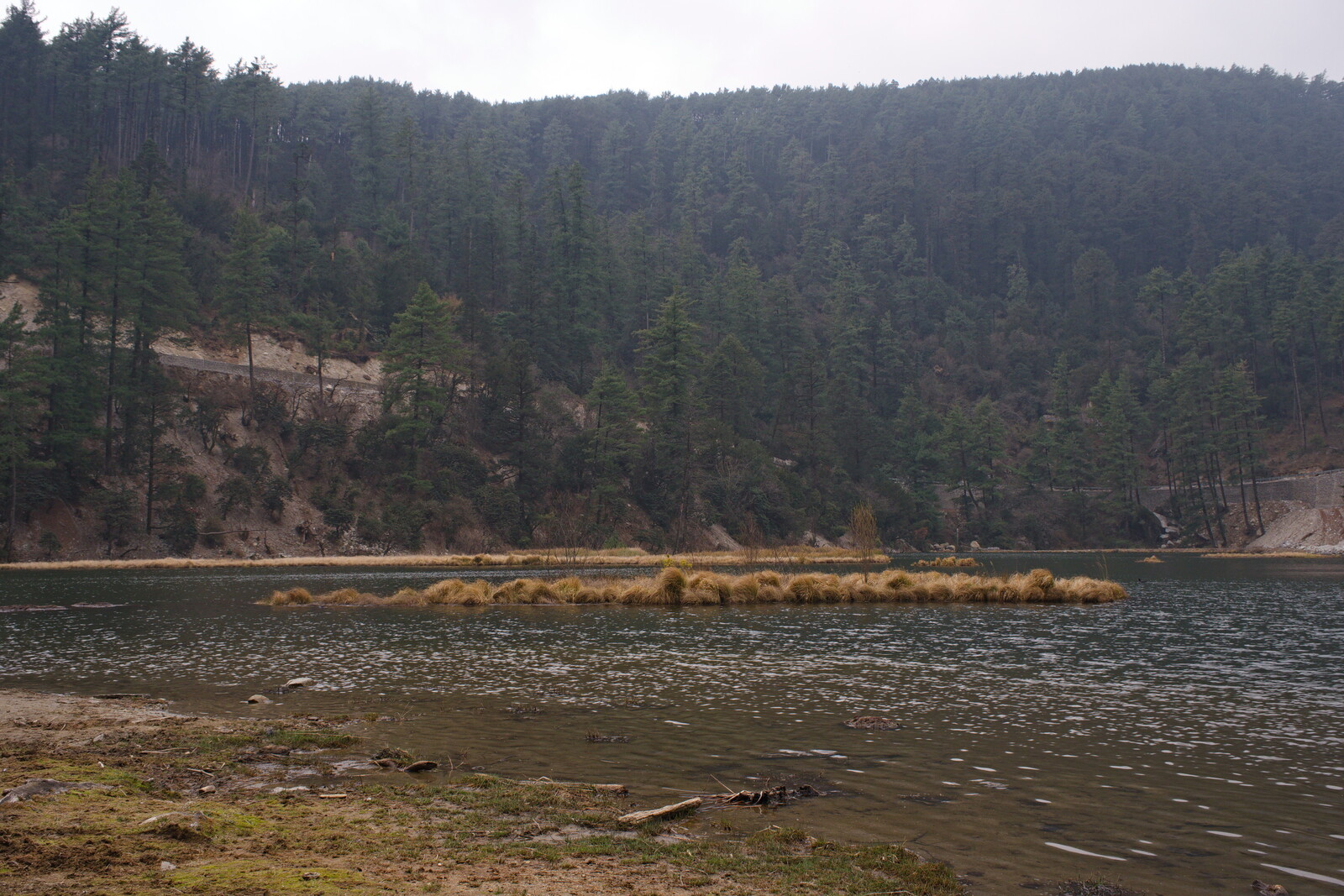 DSCF8902.jpg