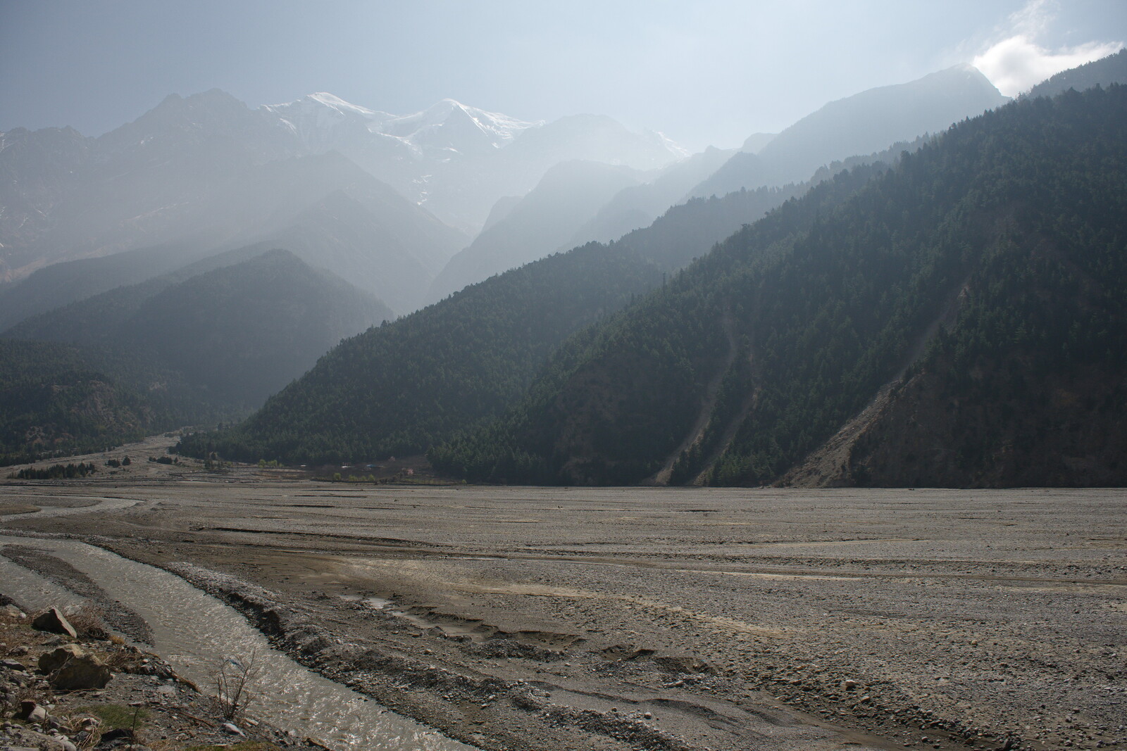 DSCF8909.jpg
