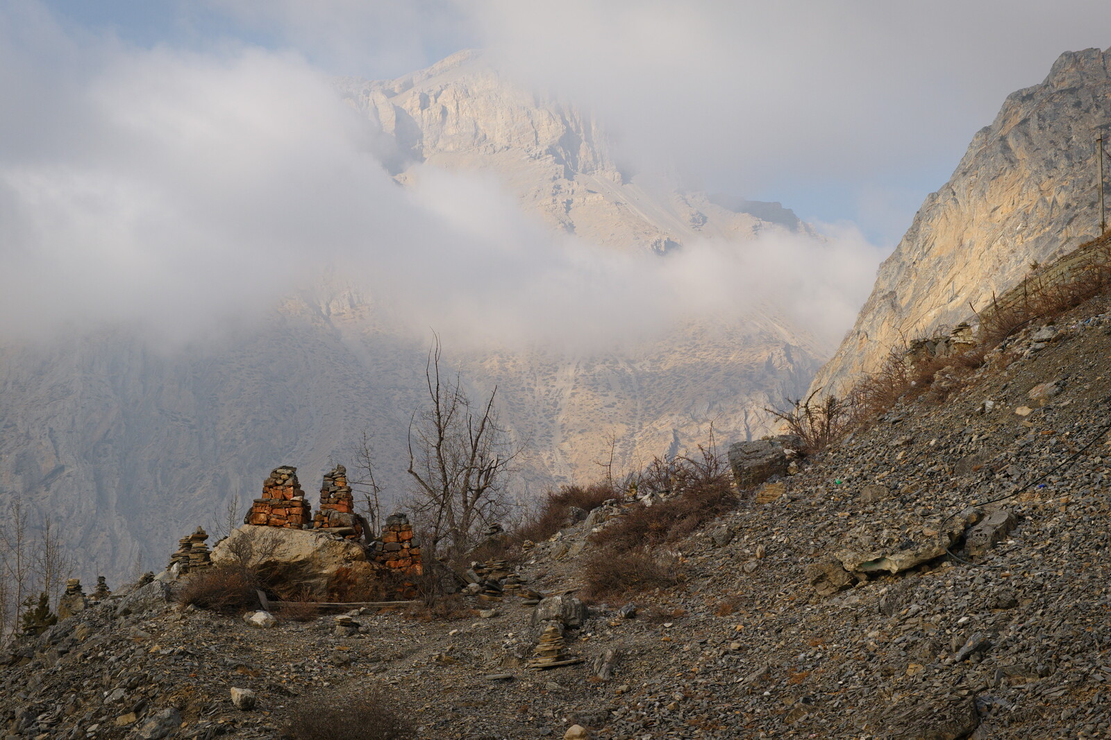 DSCF8965.jpg