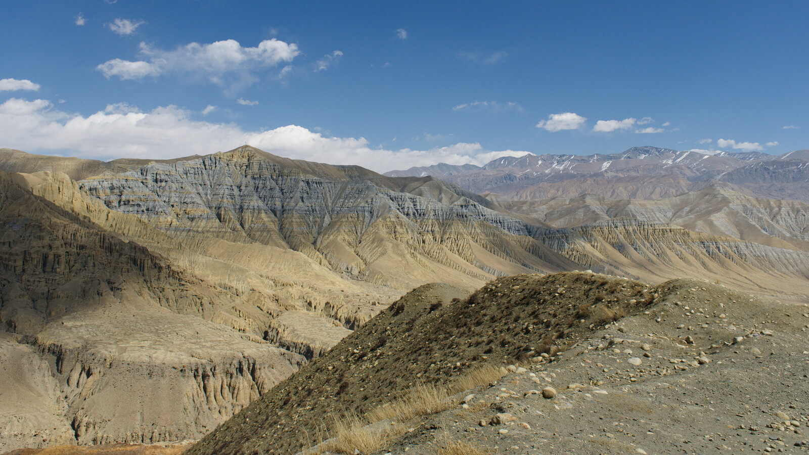 DSCF8987.jpg