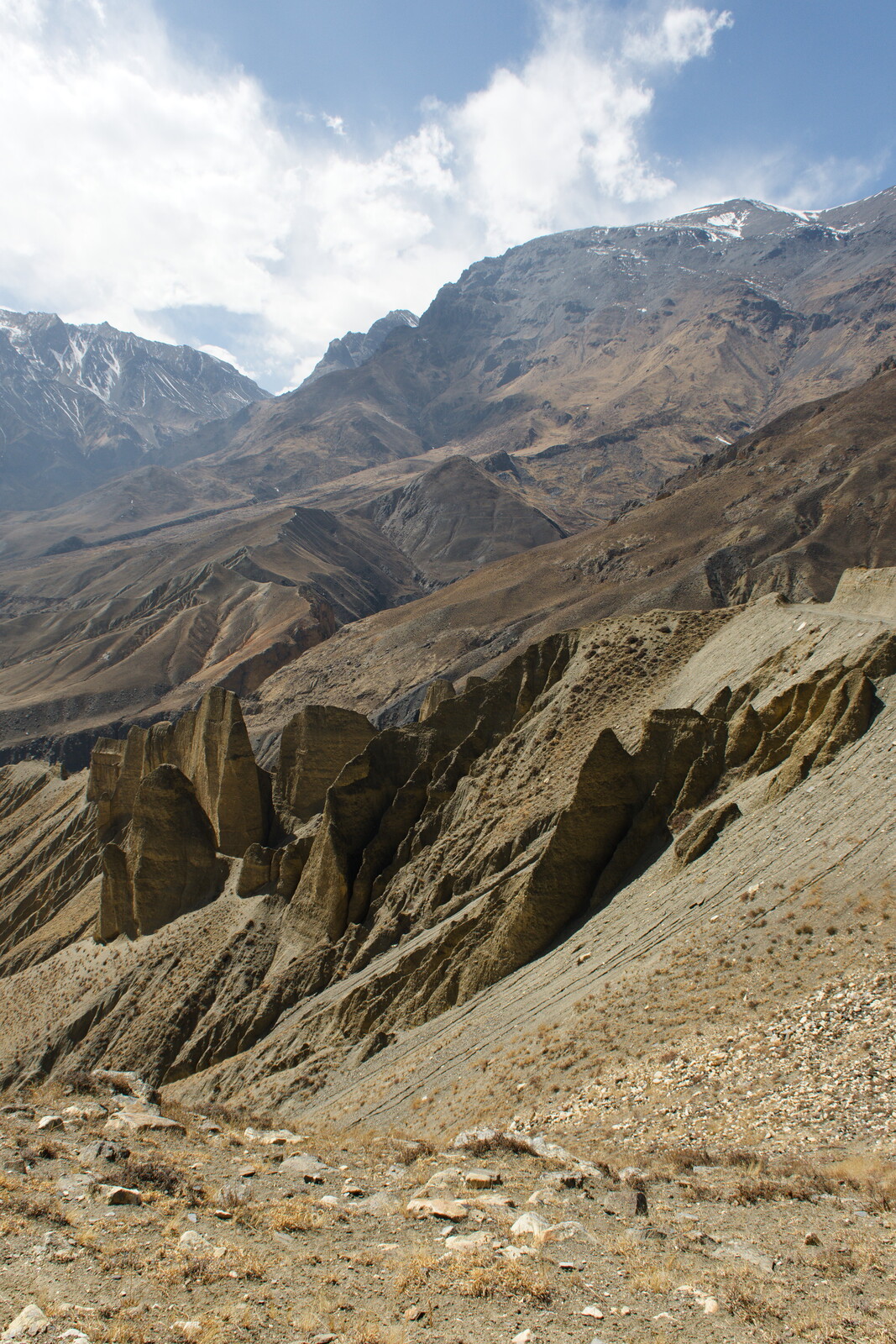 DSCF8996.jpg