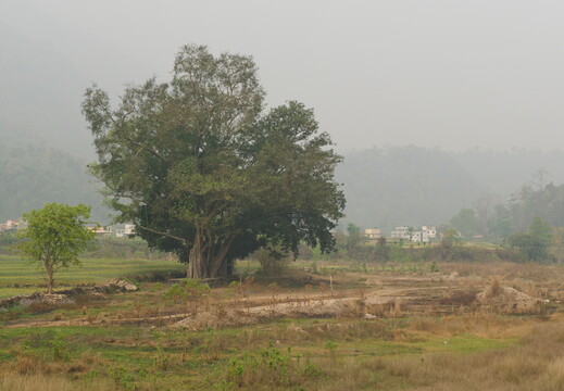 DSCF9062