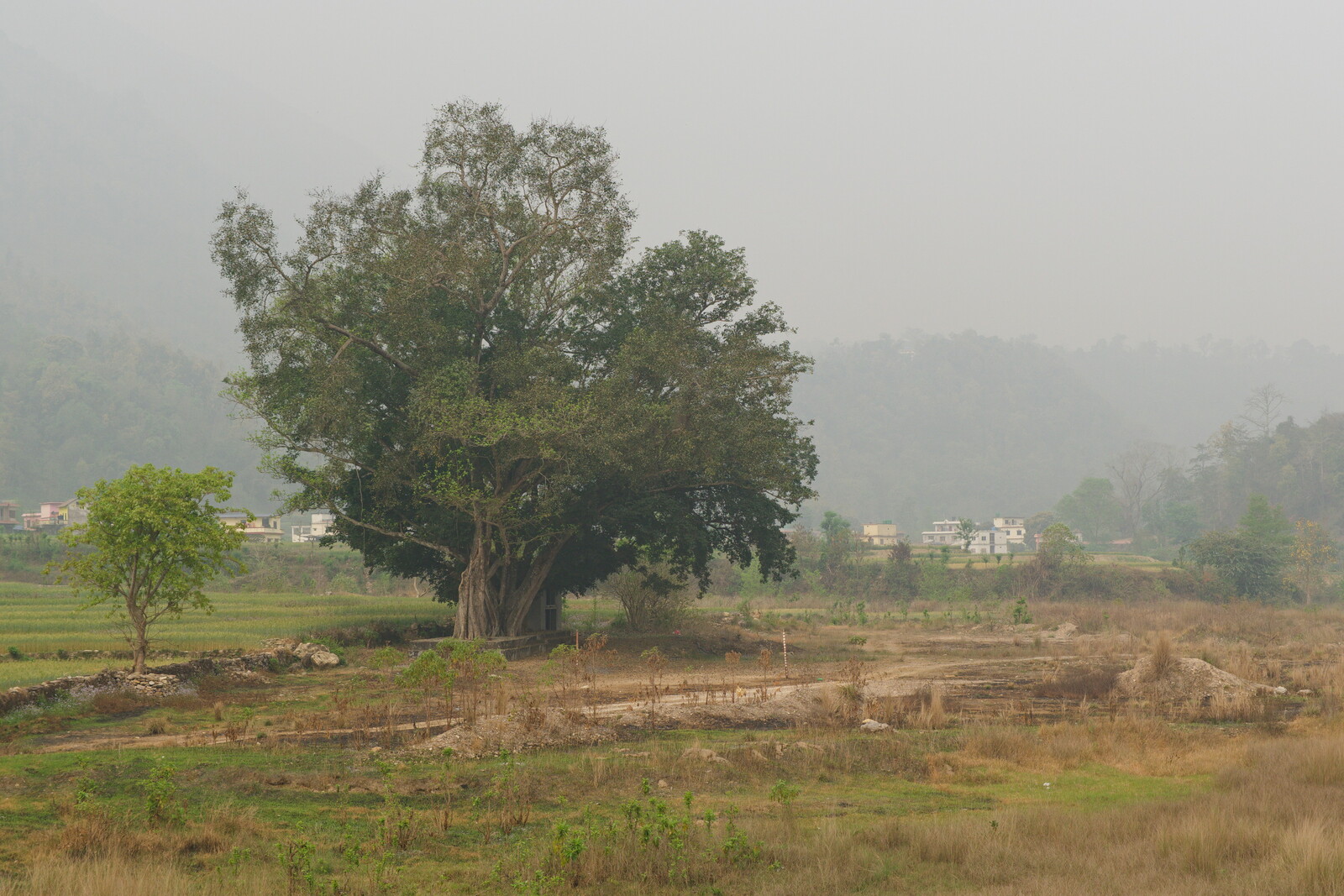 DSCF9062.jpg