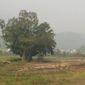 DSCF9062.jpg