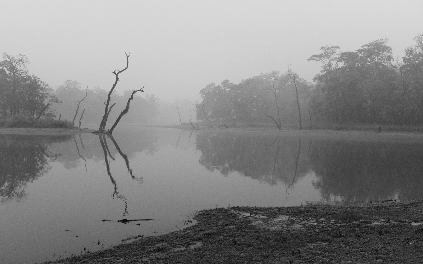 DSCF9080.jpg