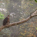 DSCF9101.jpg