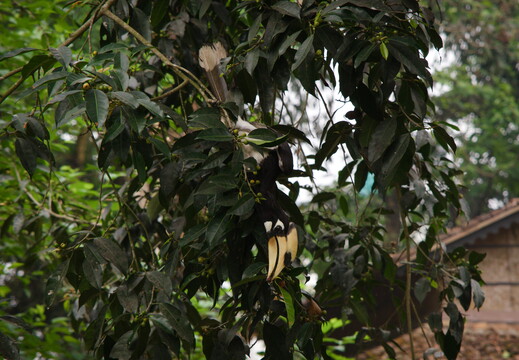 DSCF9187
