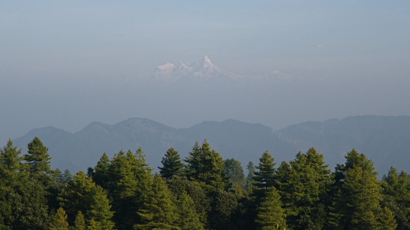 DSCF9201.jpg